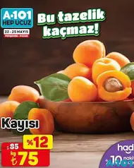 KAYISI KG